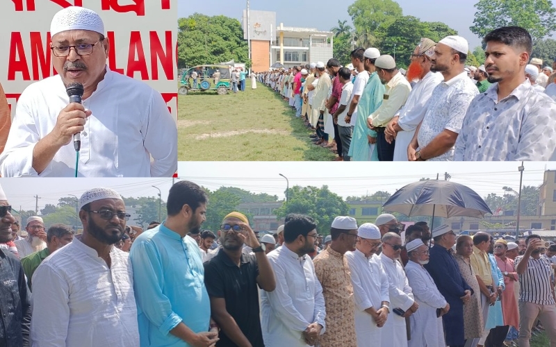 বেনাপোলের প্রবীণ রাজনীতিক শাহাদত হোসেনের মৃত্যুতে বিএনপি নেতাদের শোক